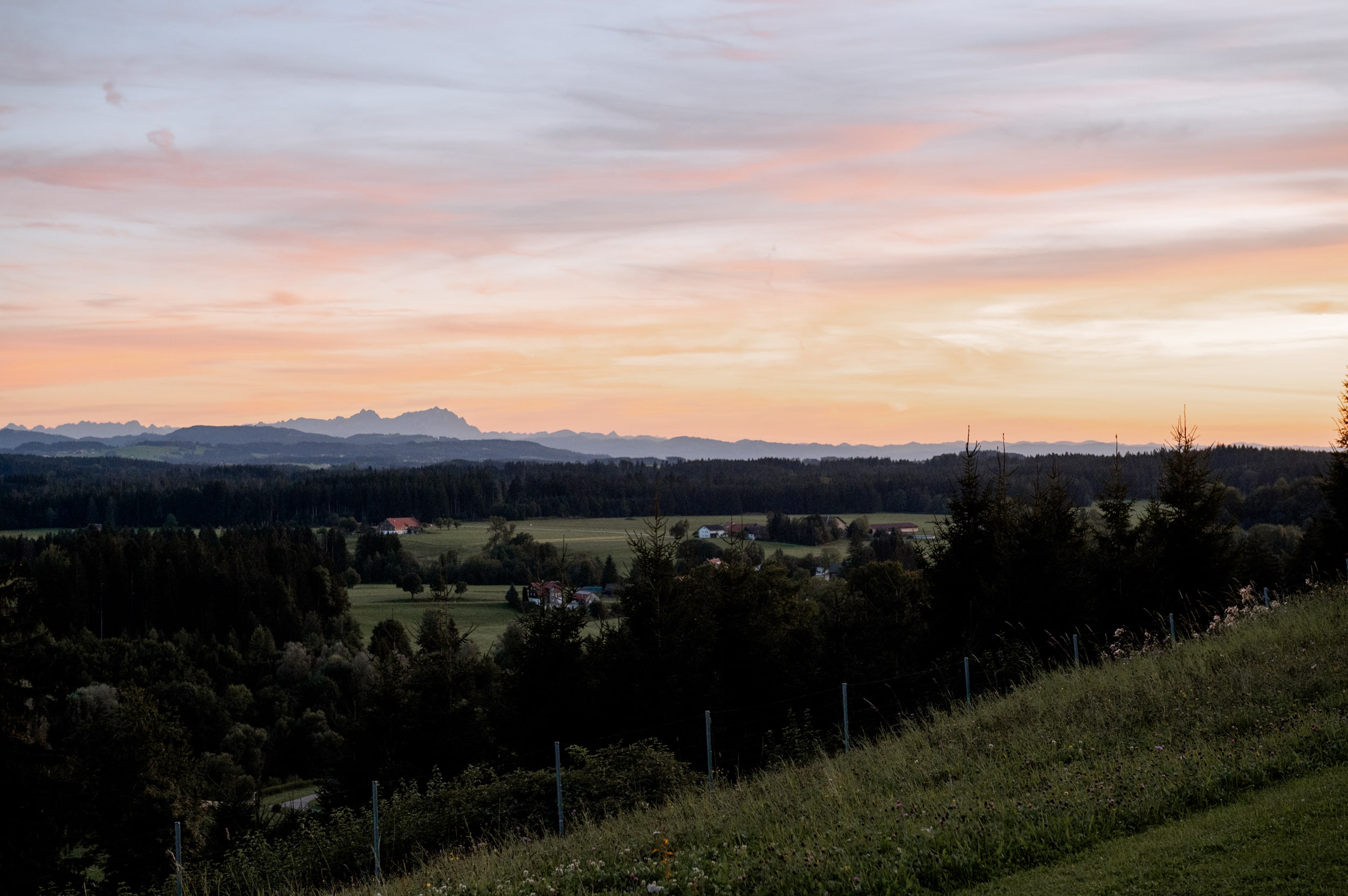 Berghotel Jägerhof Hochzeit-47-min