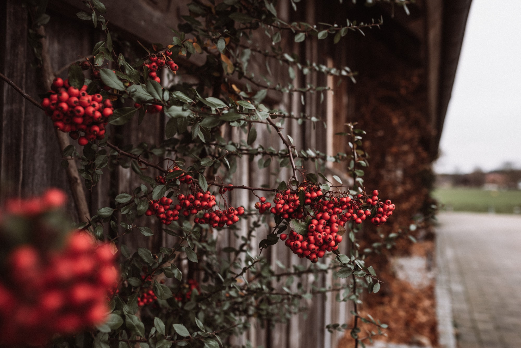 Rosemary Photography – Hochzeitsfotografie – 24-min Freie Trauung Lenderstuben